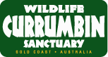 koala mapping currumbin sanctuary hospital