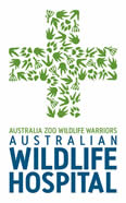 koala mapping website wildlife warriors australian wildlife hospital