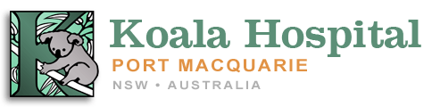 koala map koala preservaton society of nsw